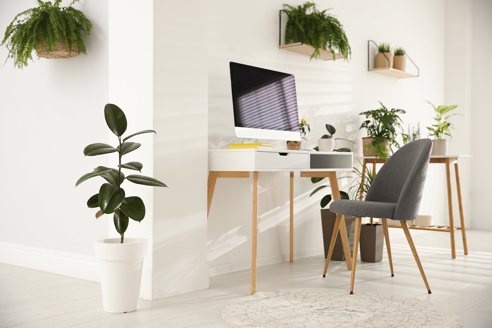 office Office cleaning Birdsboro PA
