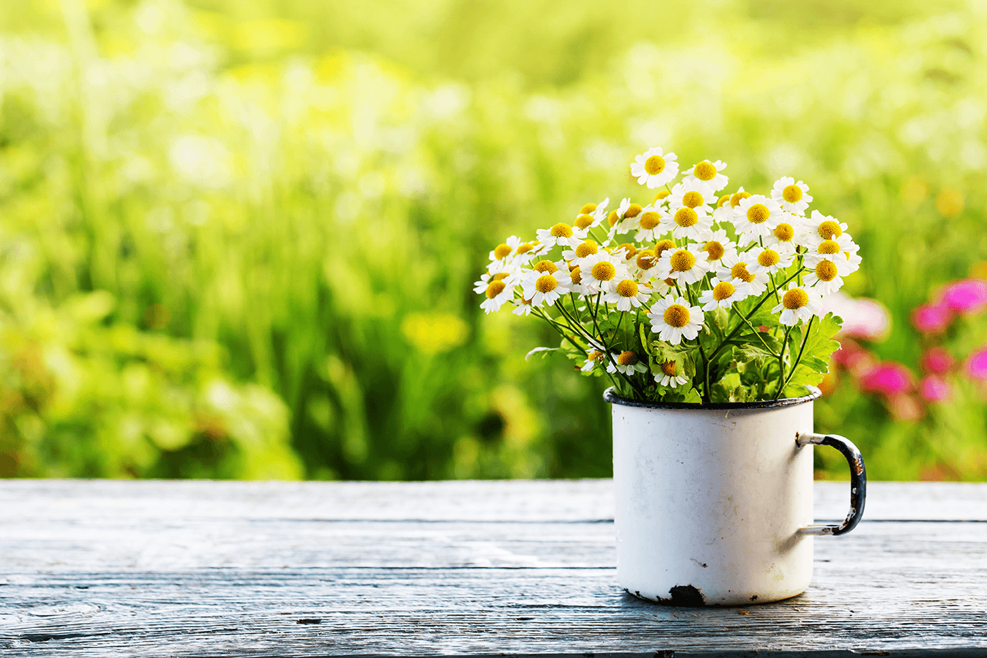 spring Recurring house cleaning Birdsboro PA
